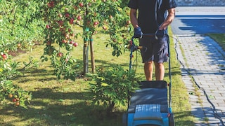 Vertikutierer im Garten