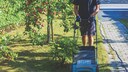 Vertikutierer im Garten