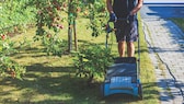 Vertikutierer im Garten