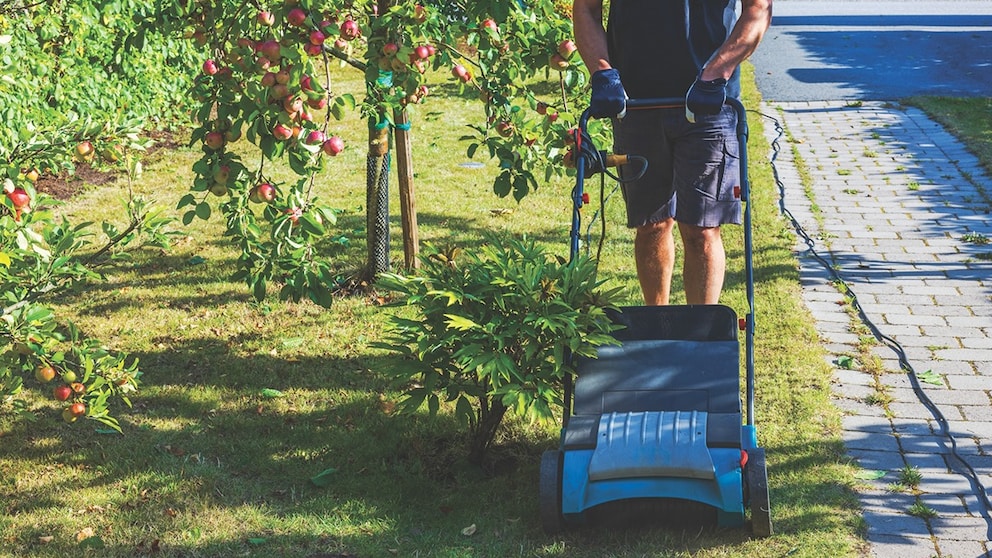 Vertikutierer im Garten