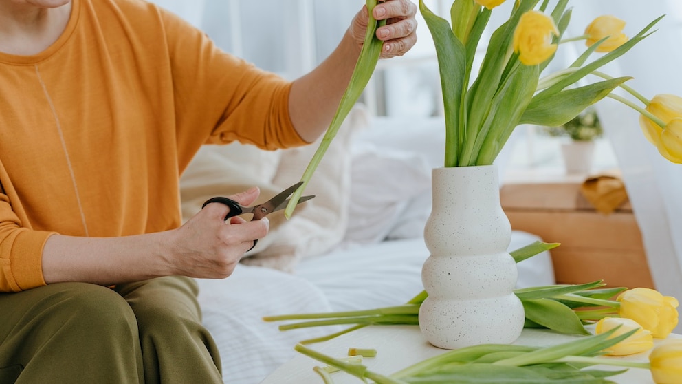 Nicht jede Blume muss schräg angeschnitten werden, bevor man sie in die Vase steckt