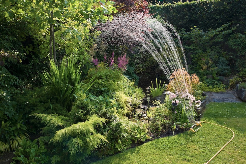 12 Tipps, um im Garten Wasser zu sparen