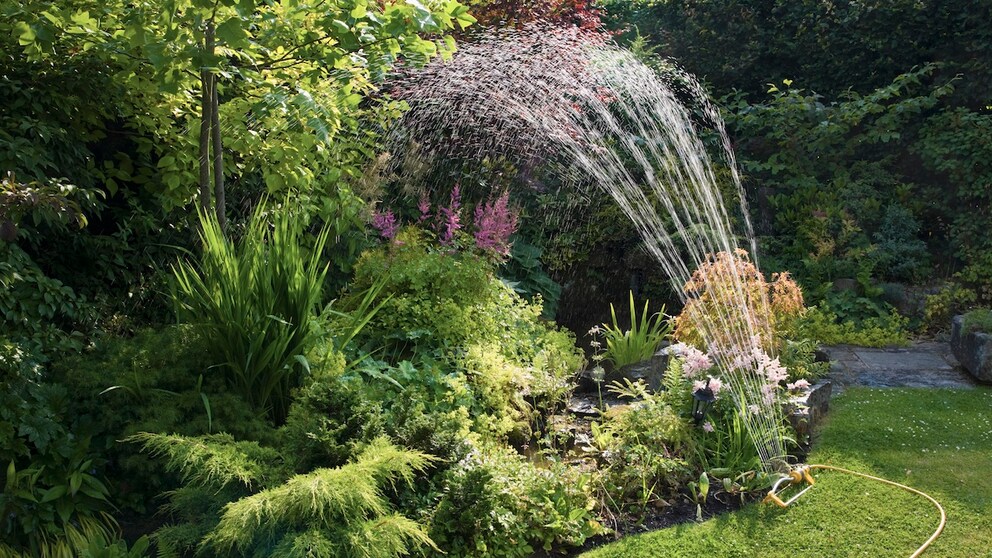 Um im Garten Wasser zu sparen, sollte man auf einen Gartensprinkler verzichten