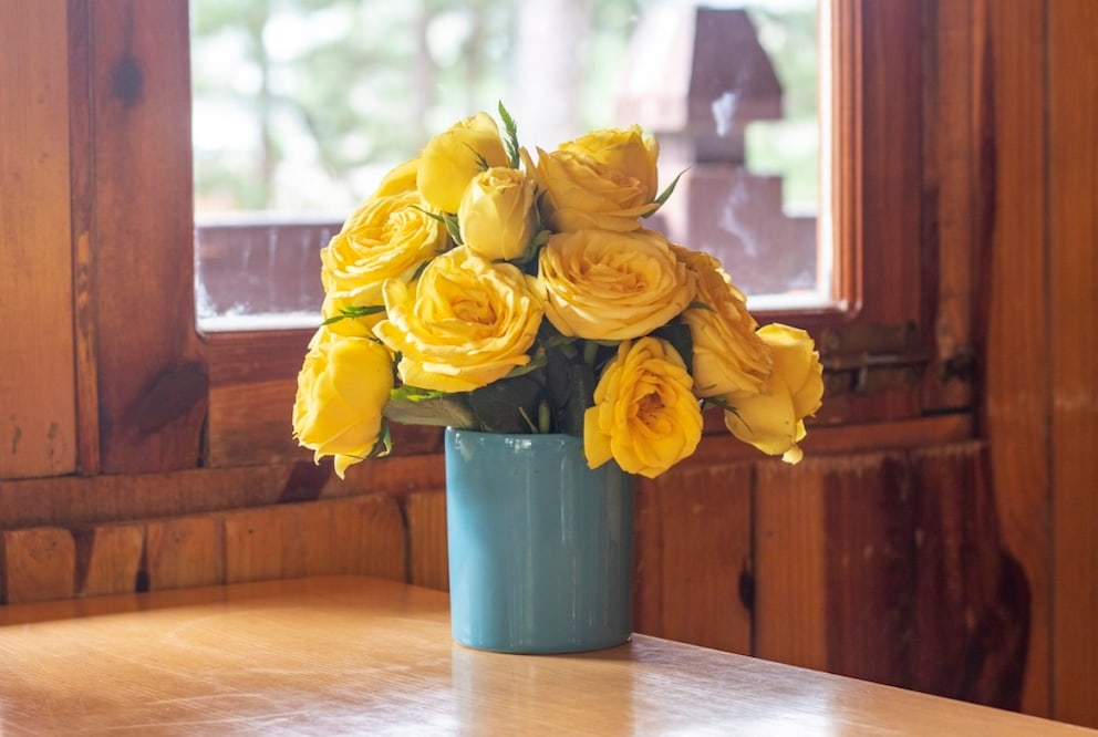 When purchasing, make sure to choose healthy plants. Healthy plants stay fresh longer