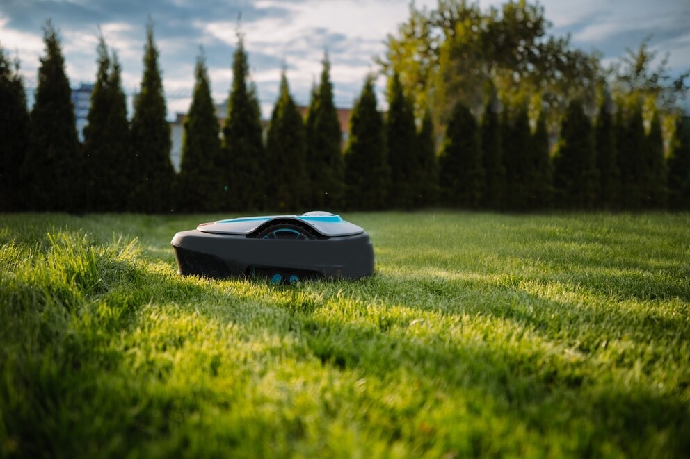 Welche Mähroboter 2025 gut abschneiden