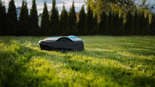 Mähroboter