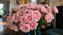 Mit den richtigen Pflegetipps können Rosen in der Vase über eine Woche lang frisch bleiben