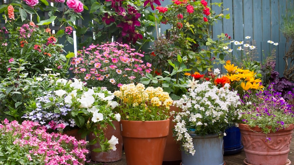 Gartenbedarf