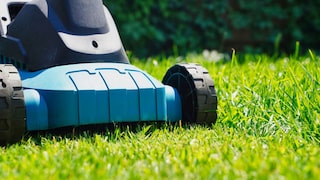 Rasenmähen im Sommer