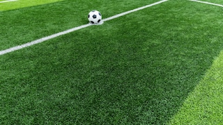 Fußballrasen