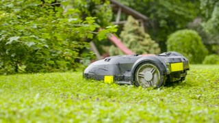 Mähroboter