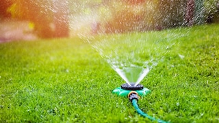 Rasen im Sommer bewässern