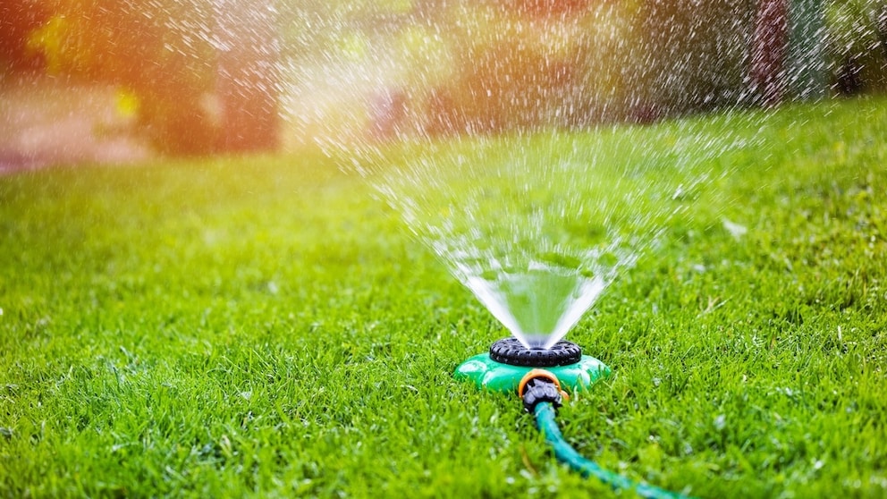 Rasen im Sommer bewässern