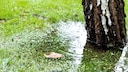 Stehendes Wasser ist ein klares Zeichen f&uuml;r Staun&auml;sse im Rasen