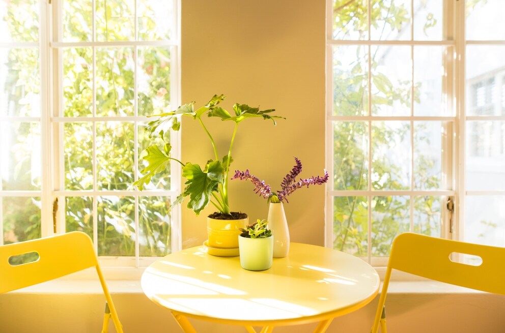 Color Trends Summer 2025