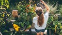 Frau gie&szlig;t mit Gie&szlig;kanne Pflanzen. Beim Gie&szlig;en im Garten kann man einige Fehler machen.