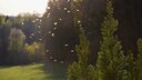M&uuml;cken k&ouml;nnen sehr l&auml;stig sein. Um sie fernzuhalten, kann man Insektizide einsetzen &ndash; doch f&uuml;r den Erwerb muss man sich erst einmal beraten lassen.