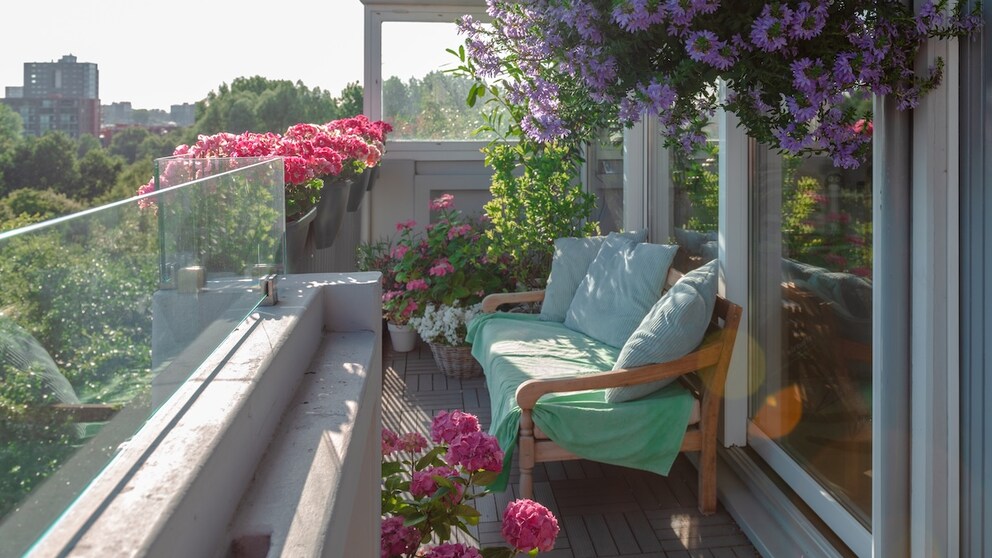 Bei verschiedenen Balkonpflanzen kann man die Blütezeit durch die richtige Pflege verlängern