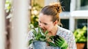 Gartenarbeit