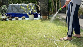 Nicht nur die Bewässerung des Rasens ist im August wichtig