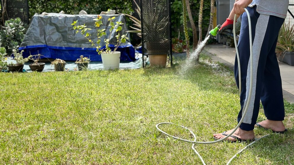 Nicht nur die Bewässerung des Rasens ist im August wichtig