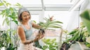 Orchideen sind empfindliche Pflanzen. Die Bl&uuml;te bleibt nach dem Umtopfen oft aus