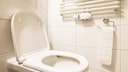 Klopapier und Exkremente, mehr sollte man nicht in die Toilette werfen
