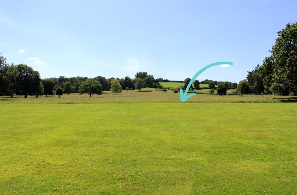 Only those who look closely can see where Ha-Ha separates the garden from the meadow