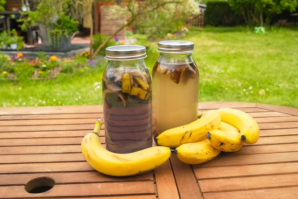 Wie man aus Bananenschalen wertvollen Dnger herstellt - myHOMEBOOK