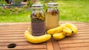 Bananenschalen sollte man nicht sofort im M&uuml;ll entsorgen, man kann D&uuml;nger daraus herstellen