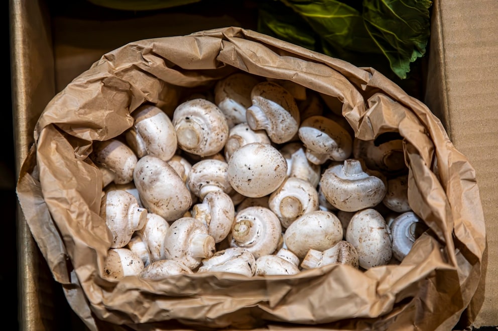 Typische Fehler beim Lagern von Champignons - myHOMEBOOK