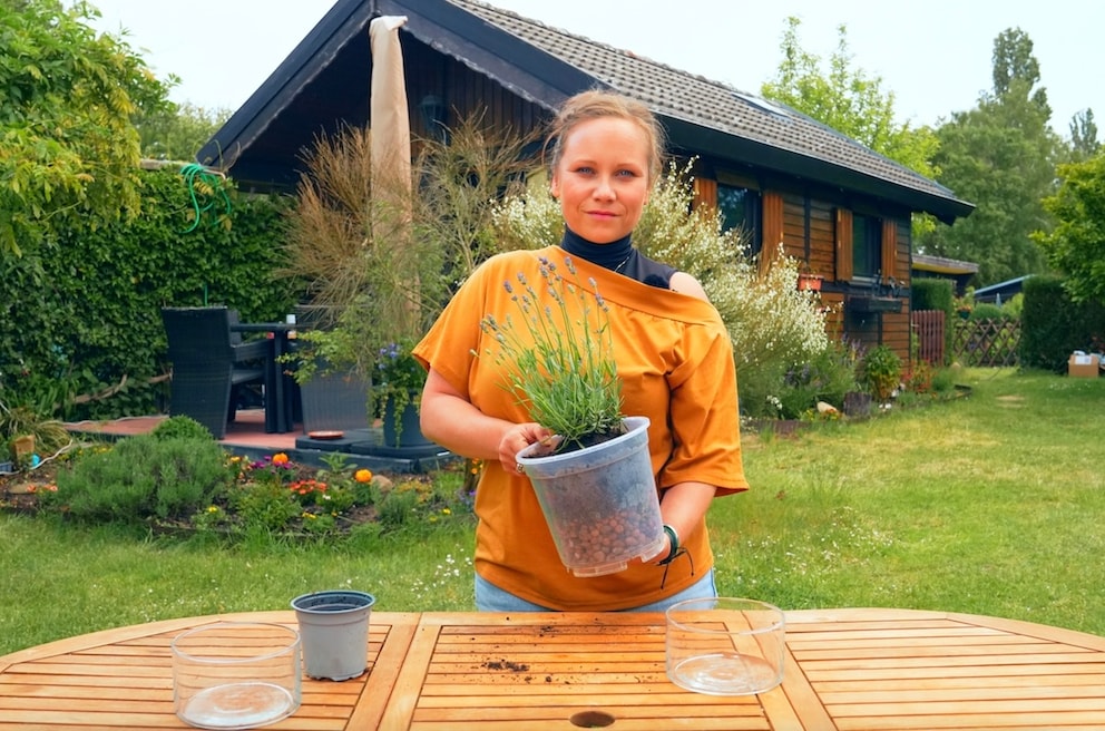 Mit einer Drainage Pflanzen effektiv vor Staunsse schtzen - myHOMEBOOK