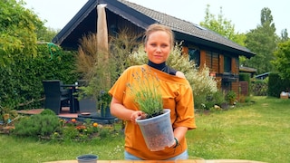 Für eine Blumentopf-Drainage kann man nicht nur Steine, Kies oder Ton verwenden