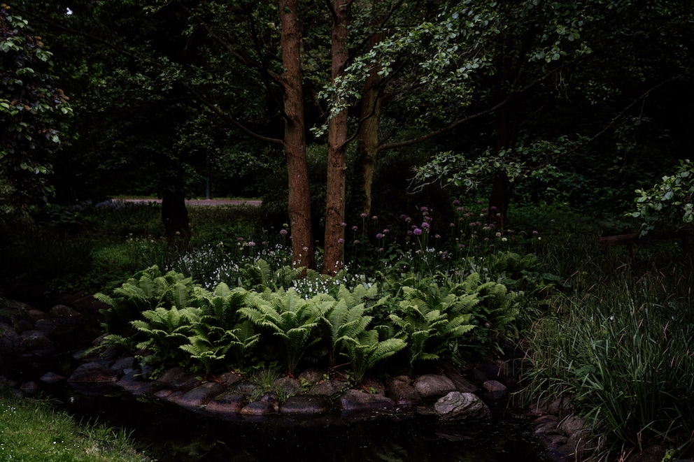 Dunkle Ecken im Garten gestalten &ndash; Inspiration f&uuml;r Schattenpl&auml;tze