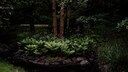 Dunkle Ecken Garten