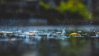 Eine alte Bauernregel besagt: „Ist der Oktober nass und kühl, mild der Winter werden will“. Doch was steckt dahinter?