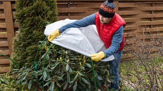 Wird es draußen kälter, braucht auch der Garten besondere Aufmerksamkeit