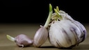 Keimender Knoblauch muss nicht weggeworfen werden