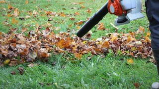 Stihl ruft einen Laubbläser zurück