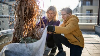Beim Überwintern von Balkonpflanzen gibt es ein paar grundlegende Punkte, die man wissen sollte