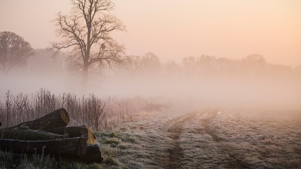 Bedeutet Frost am Martinstag wirklich einen nicht endenwollenden Winter?