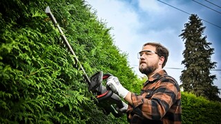 Heckenscheren Test 2025