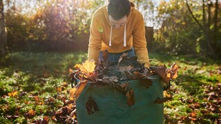 Laub im Garten ist ein schöner Anblick, aber oft auch viel Arbeit