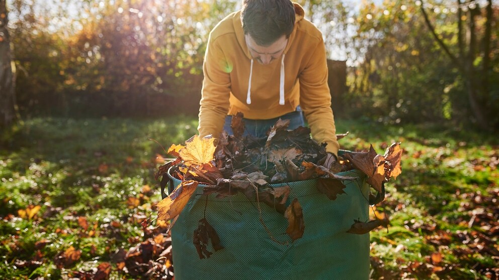 Laub im Garten ist ein schöner Anblick, aber oft auch viel Arbeit