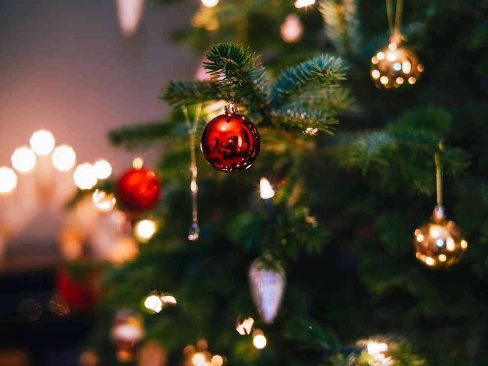 Das sind die Weihnachtsbaum-Trends 2025