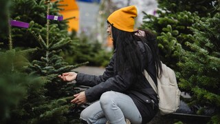 Weihnachtsbaum