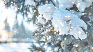 Laut Bauernregel erwarten uns weiße Weihnachten, doch ist dem tatsächlich so?