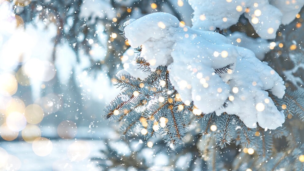 Laut Bauernregel erwarten uns weiße Weihnachten, doch ist dem tatsächlich so?