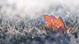 Bedeutet Frost an Neujahr, dass es die kommenden Wochen so weitergeht?