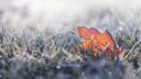 Bedeutet Frost an Neujahr, dass es die kommenden Wochen so weitergeht?